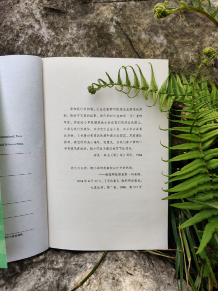 百家乐在线试玩